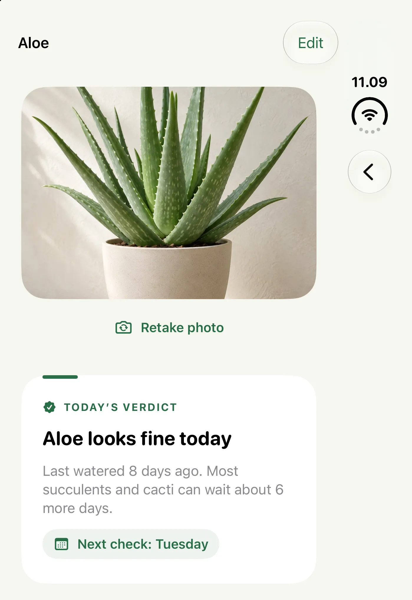 Closed: the same plant, on the outer screen.